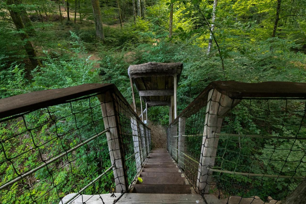 L'Arbre A Cabane Guyonvelle Экстерьер фото