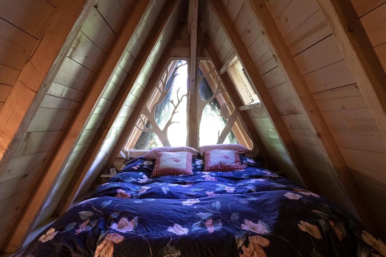 L'Arbre A Cabane Guyonvelle Экстерьер фото