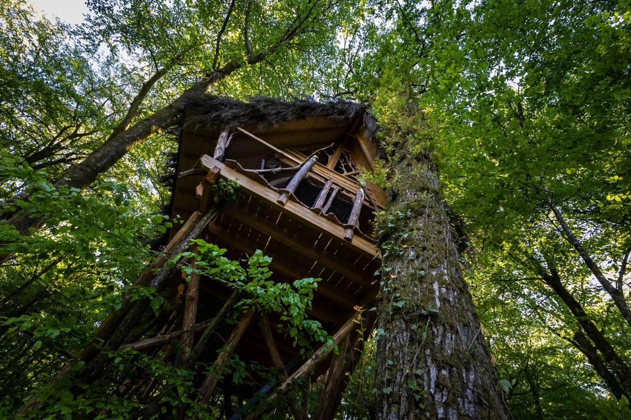 L'Arbre A Cabane Guyonvelle Экстерьер фото