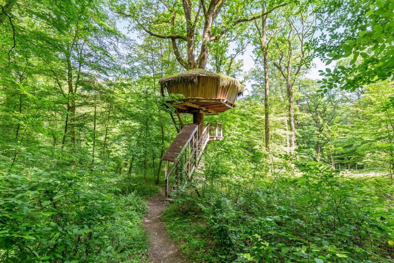 L'Arbre A Cabane Guyonvelle Экстерьер фото