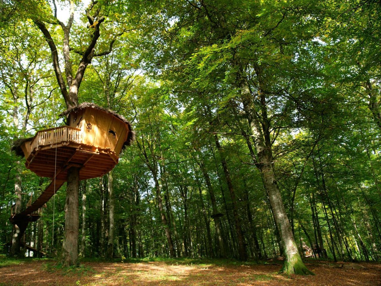 L'Arbre A Cabane Guyonvelle Экстерьер фото