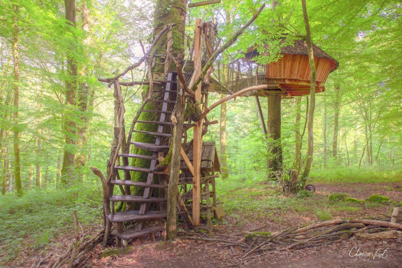 L'Arbre A Cabane Guyonvelle Экстерьер фото