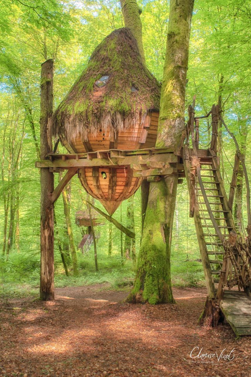 L'Arbre A Cabane Guyonvelle Экстерьер фото