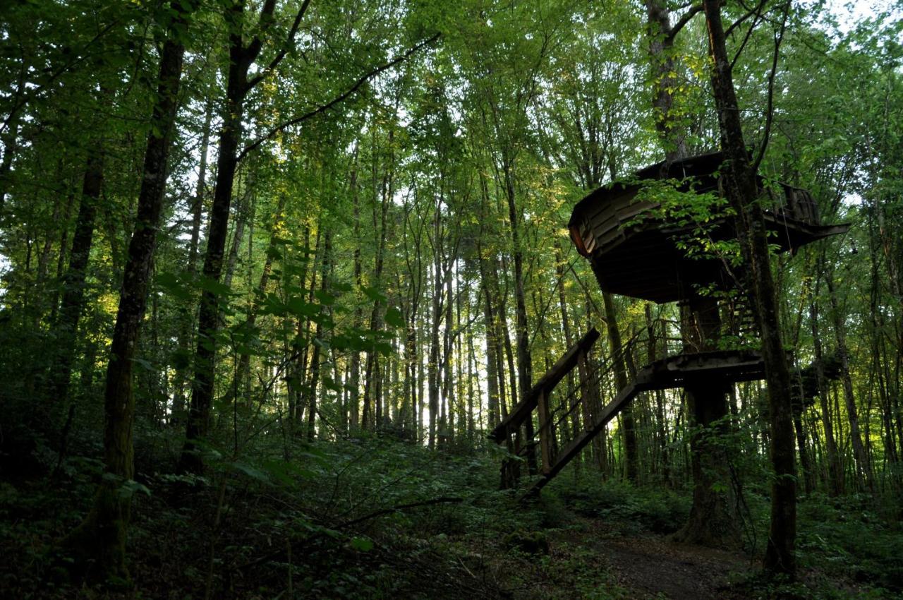 L'Arbre A Cabane Guyonvelle Экстерьер фото