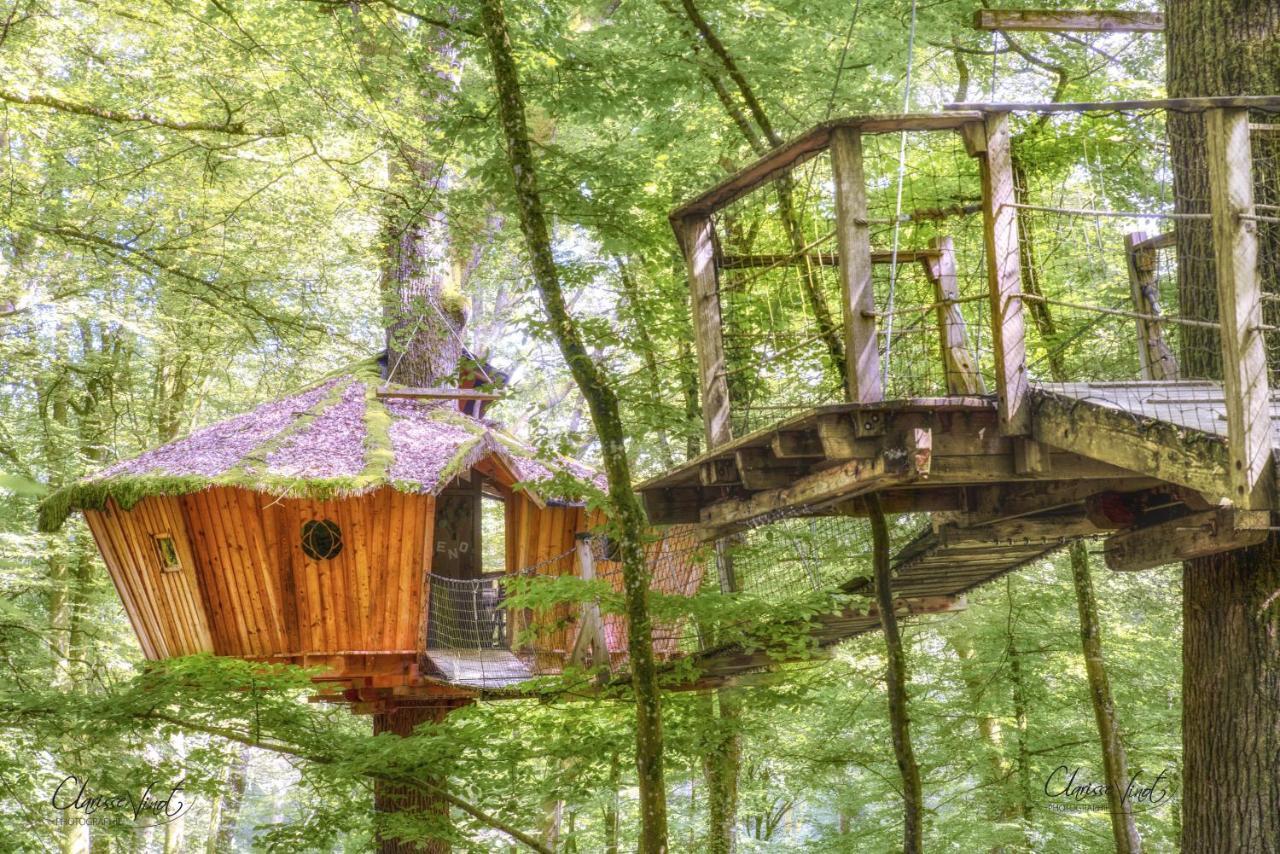 L'Arbre A Cabane Guyonvelle Экстерьер фото