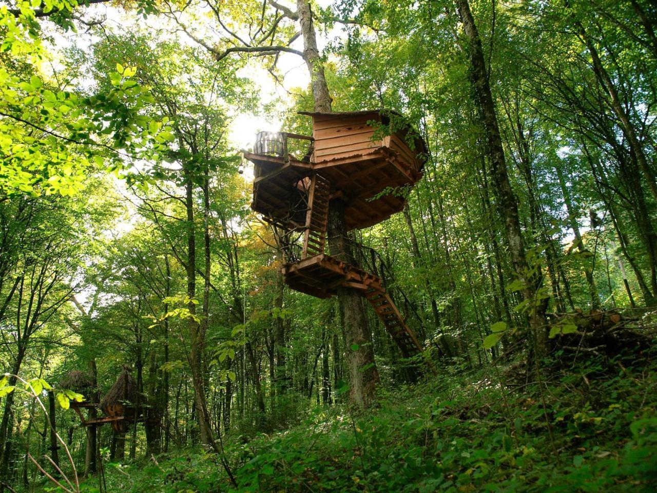 L'Arbre A Cabane Guyonvelle Экстерьер фото