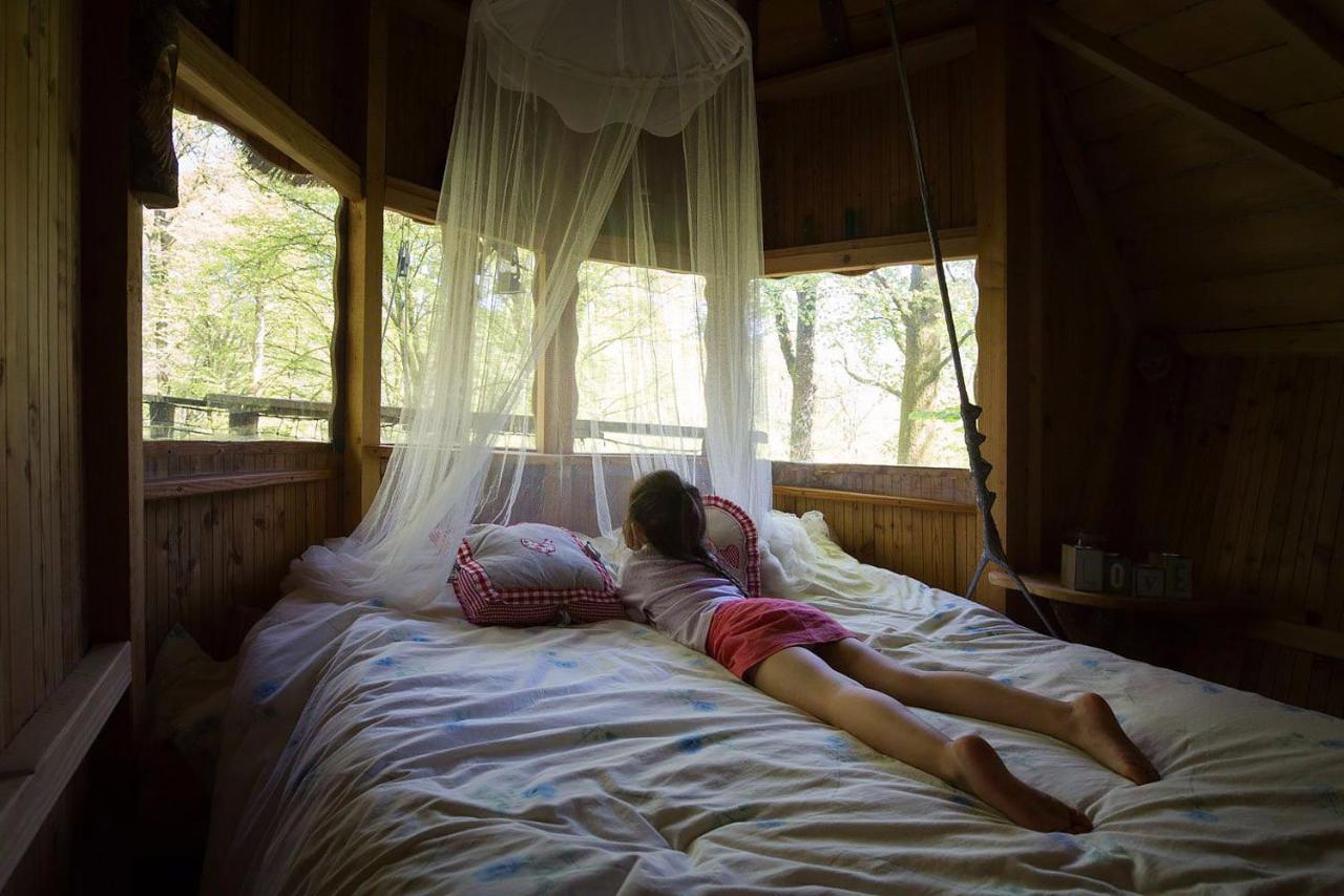 L'Arbre A Cabane Guyonvelle Экстерьер фото
