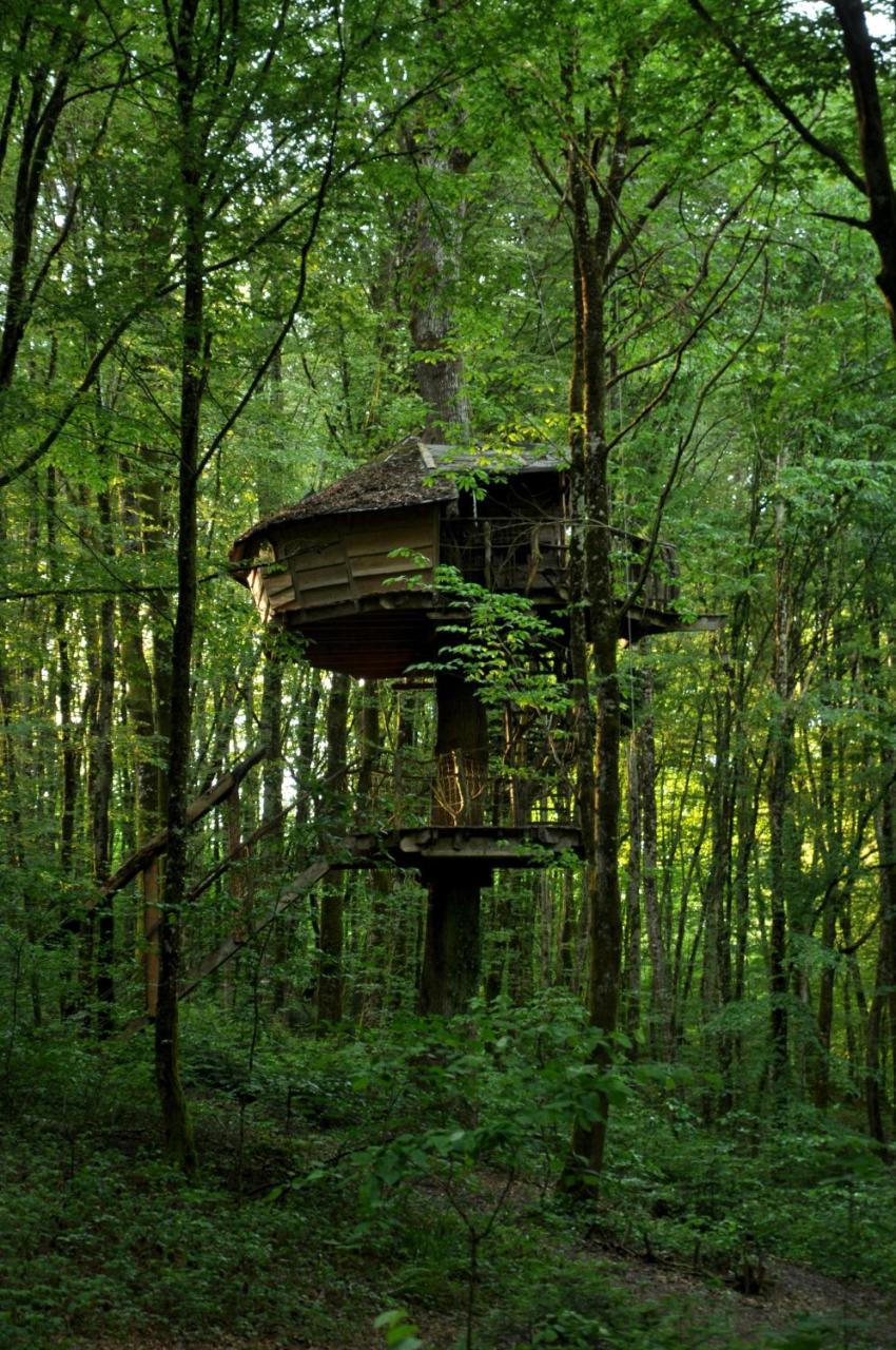 L'Arbre A Cabane Guyonvelle Экстерьер фото