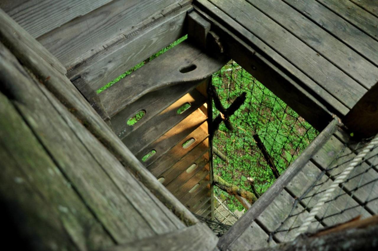 L'Arbre A Cabane Guyonvelle Экстерьер фото
