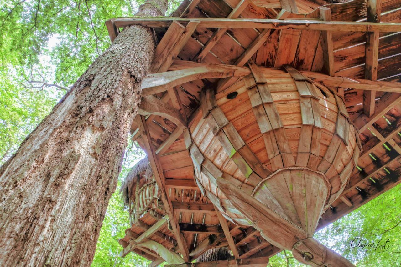 L'Arbre A Cabane Guyonvelle Экстерьер фото